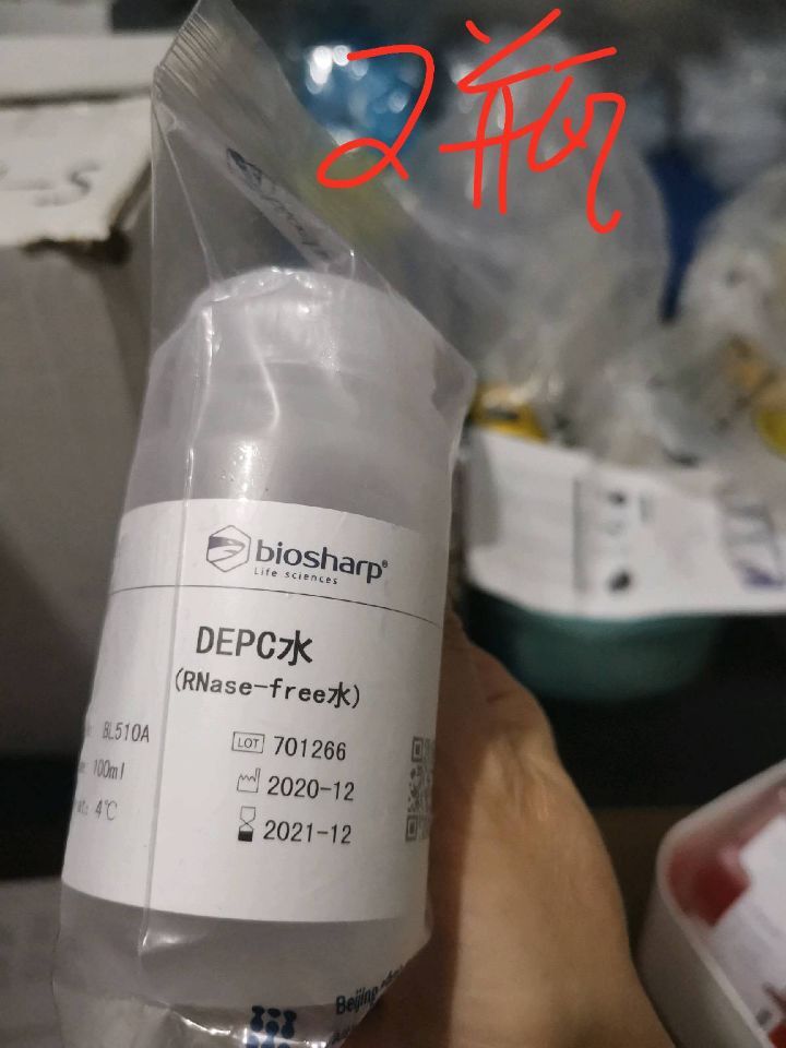 BIOSHARP DEPC水 100ML