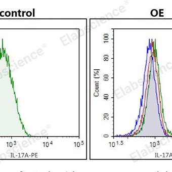 Protein Transport Inhibitor MIX  蛋白转运抑制剂 E-CK-A013
