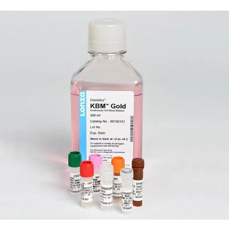 KGM Gold Keratinocyte Growth Medium BulletKit 00192060