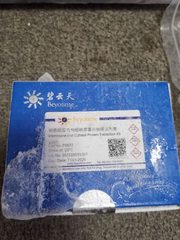 碧云天 BCA 蛋白浓度测定试剂盒 P0012
