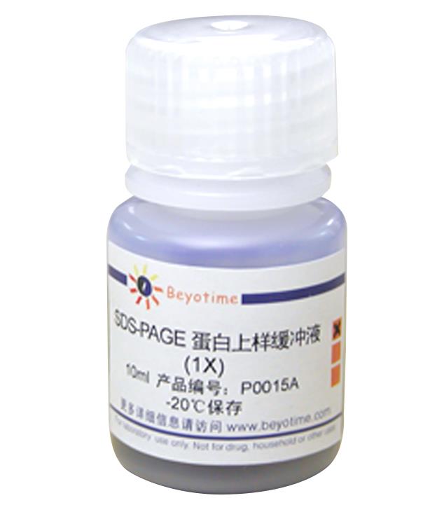 碧云天 SDS-PAGE蛋白上样缓冲液1x P0015A