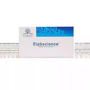 细胞因子激活和蛋白阻断试剂盒 E-CK-A091