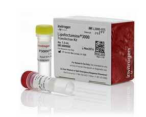 Lipofectamine? 3000 Transfection Reagent  1.5mL