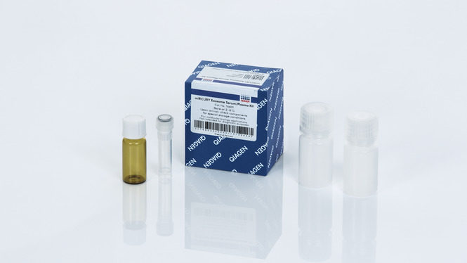 qiagen 59104 EpiTect Bisulfite Kit (48）