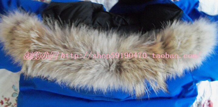 Youth PBI Expedition Parka