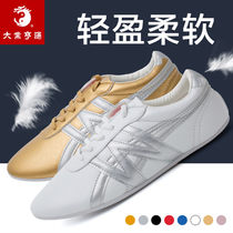 Daye Prosperity Martial Arts Tai Chi Shoes Womens Professional Training Soft Soled Shoes Mens Tai Chi Adults and Childrens Practice Competition Shoes