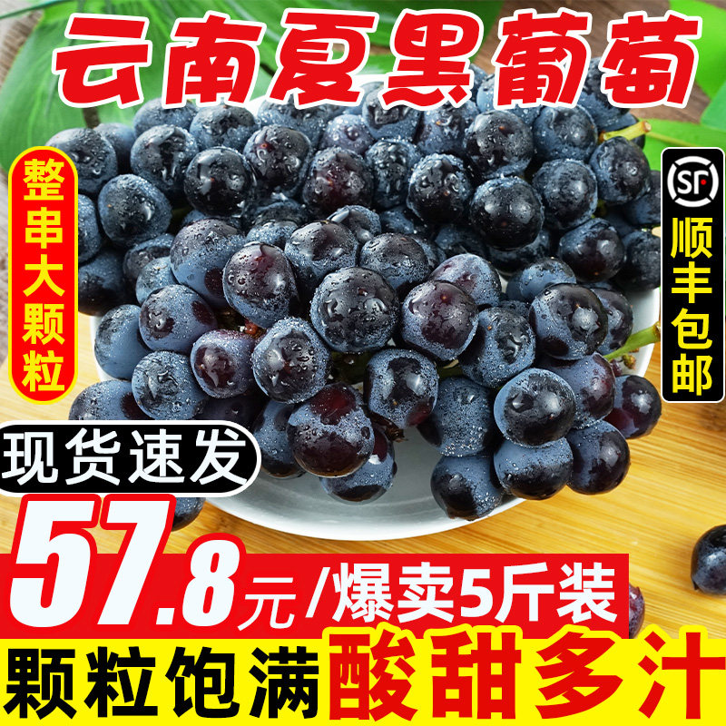 Yunnan fresh season summer black grape whole box seedless blackcurrant pickle 5 catties should be seasonal pregnant women fruit