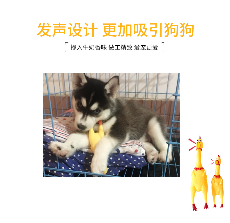 Thân thiện với môi trường không độc hại con chó đồ chơi cắn kháng răng vật nuôi chó và con chó đồ chơi âm thanh đồ chơi bóng con chó nhỏ vật nuôi do choi thu cung
