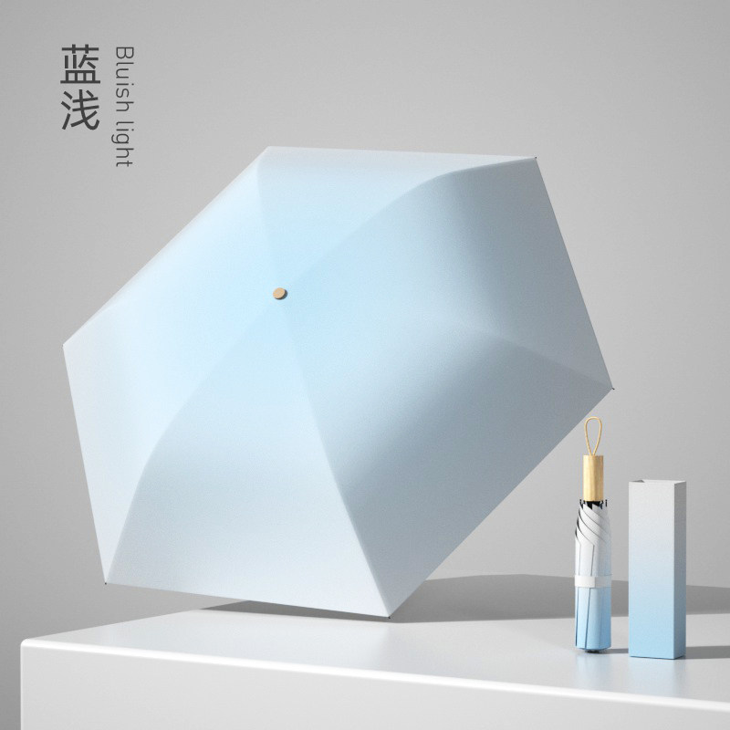 骄阳小黑伞