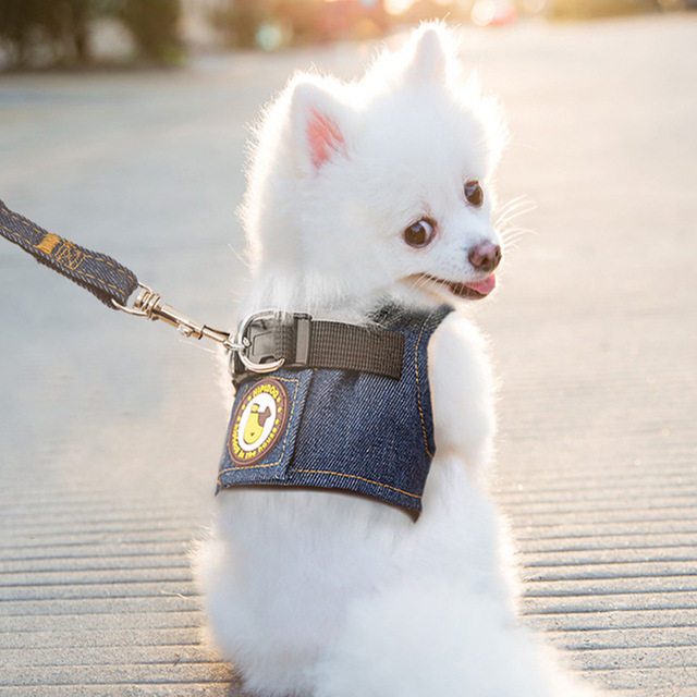Dog vest-style denim leash pet poodle teddy dog ​​walking dog chain British short cat nylon chest hold baby bag