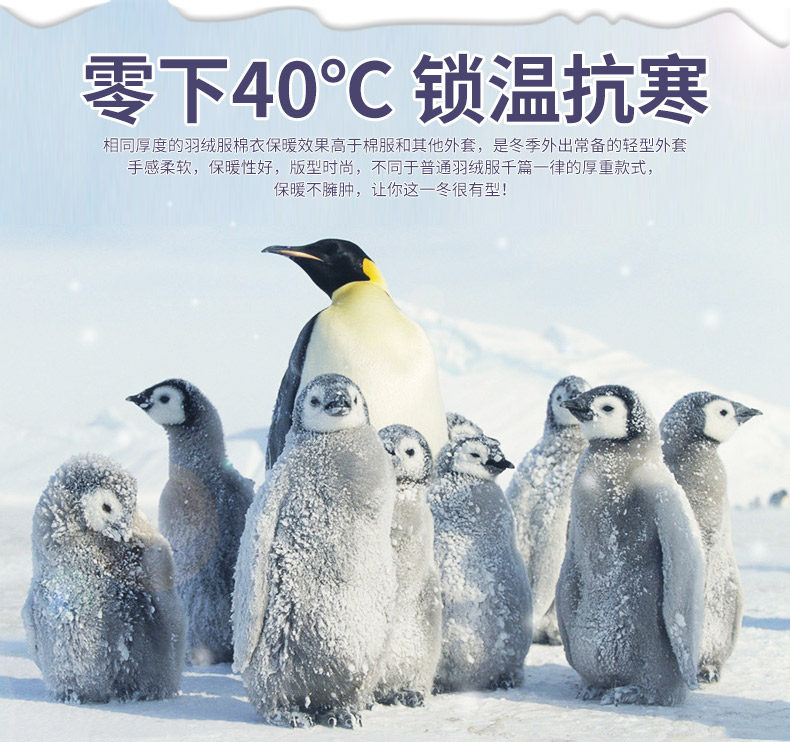 Blouson homme - Ref 3122325 Image 10