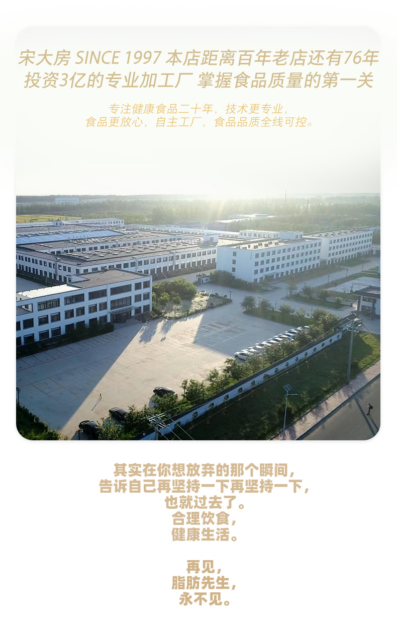 宋大房 速食鸡胸肉 100克*7袋 不敢防腐剂 图9