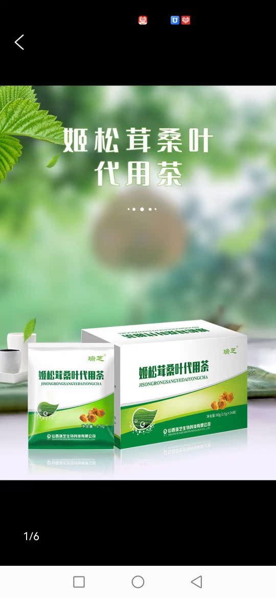 Ji Pine Mulberry Leaf Substitute Tea Shanxi Rizhi box of 24 bags 60 gr