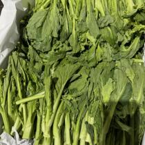 Dragon bud moss 20kg per piece