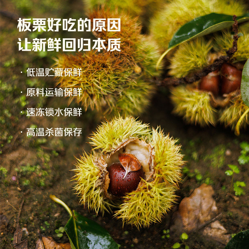粒上皇板栗仁:解锁秋冬零食新宠,独立小包装,随时随地享受美味!🌰🍂-即食板栗-淘宝百科网