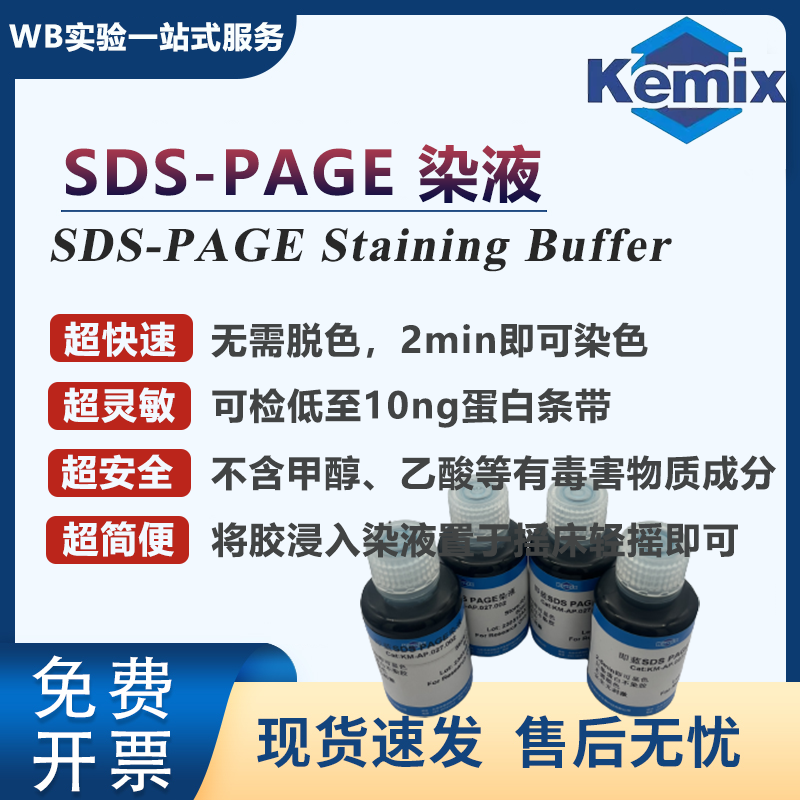 Kemix即蓝SDS-PAGE染液蛋白胶染液无毒无刺激瞬时染无需脱色