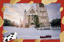 Shanghai with wedding photos Korean Style European Japanese Style Small Fresh Forest System