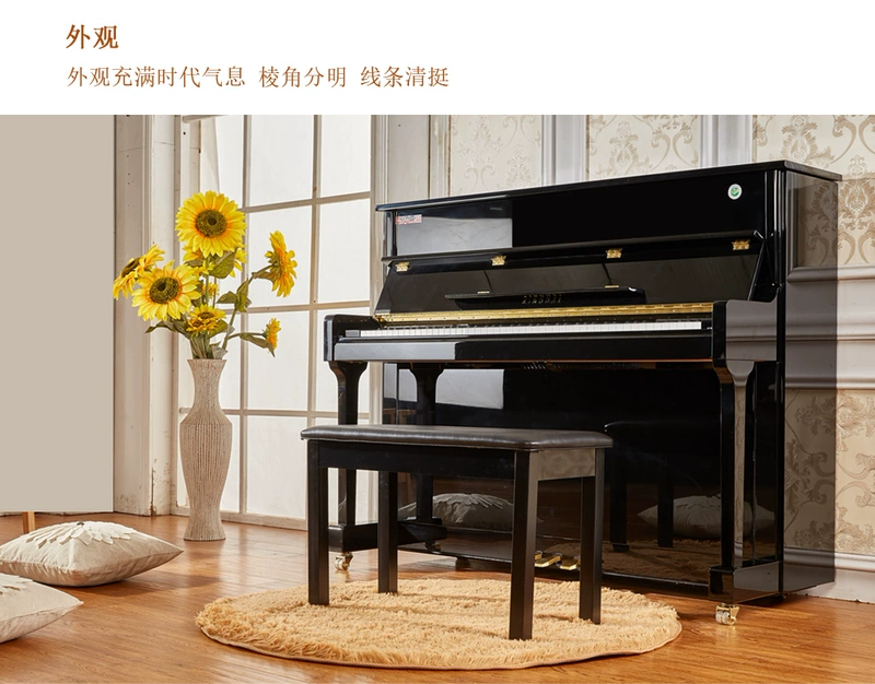 Xinghai XINGHAI XU-120A kết thúc sơn mài màu đen piano cho người mới bắt đầu