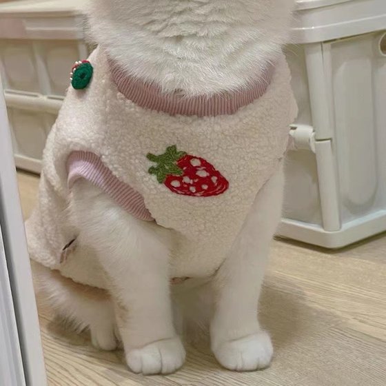 Cute lamb wool strawberry vest for cats and dogs autumn and winter pet warm clothes vest Bichon Frize