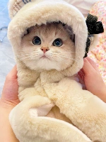 Фланелевый банный халат