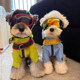 Dog Clothes Waterproof Jacket Schnauzer Bichon Teddy Shiba Inu West Highland Pet Clothing Raincoat