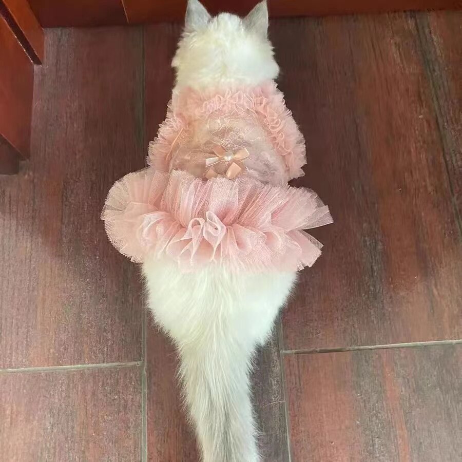 strapless open back dress Glitter Pooch ชุดรัดอก สายจูง เสื้อผ้า สุนัข, หมา, แมว, สัตว์เลี้ยง พร main image 0