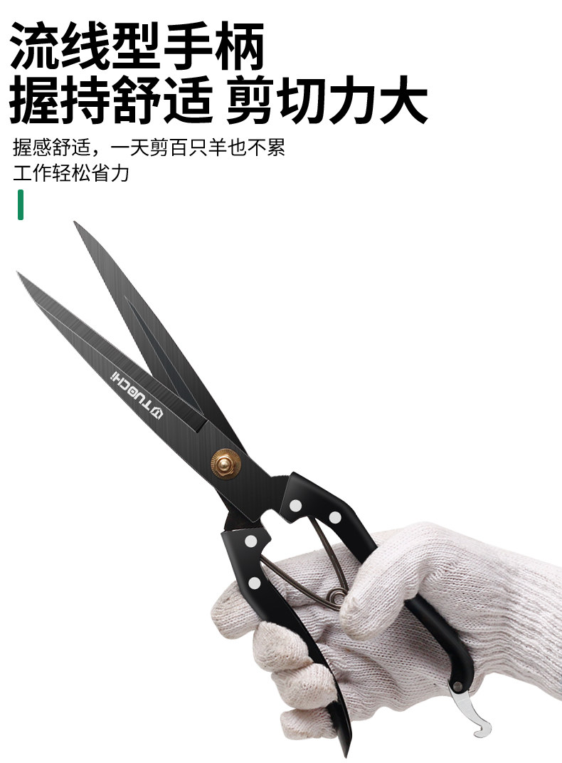 /