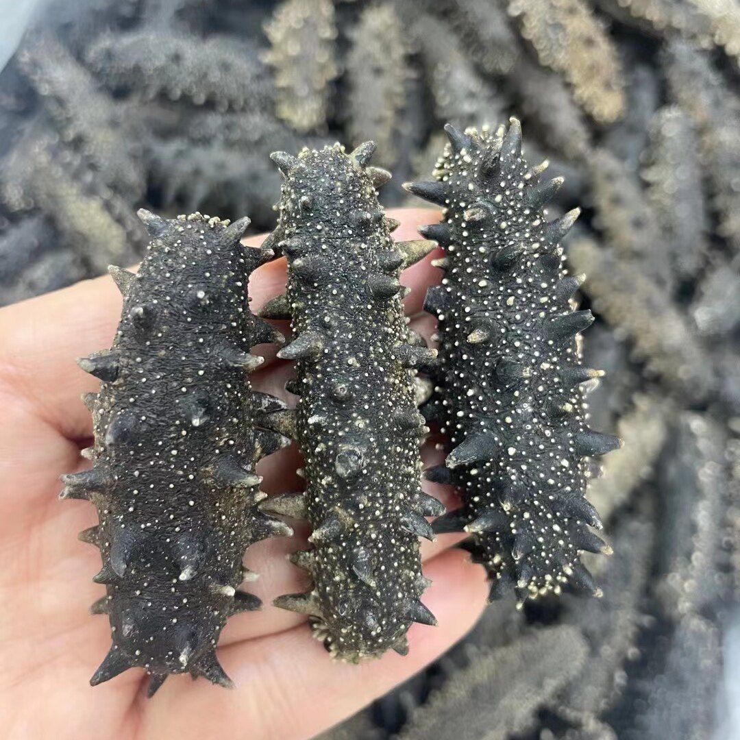 Zhengzong Dalian Pale Dry Liao Spurs Ginseng Cucumbers Dry Goods Delivered Gifts Atmospheric Gift Boxes 250 gr 25 25 Only