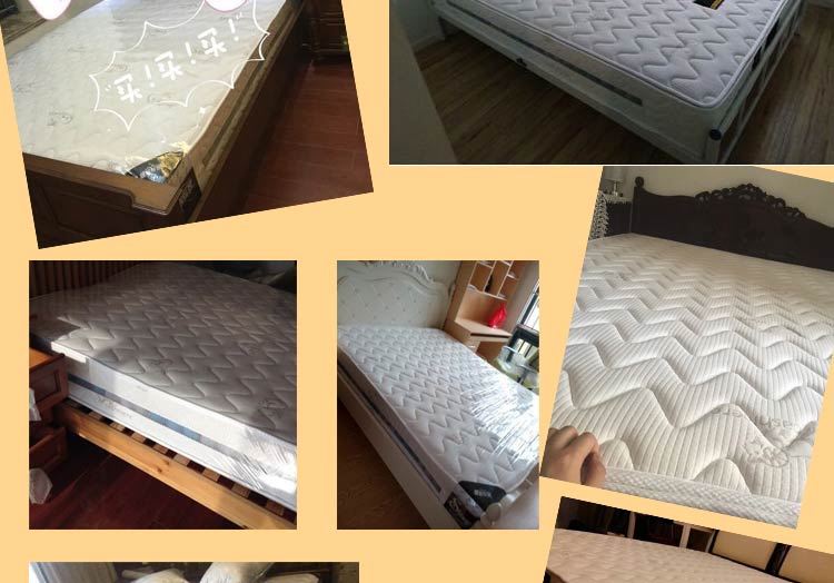 Hippocampus dừa cọ cứng và mềm kép 1,5m dày latex nệm độc lập xuân Simmons nệm ngân sách 1,8 m - Nệm nệm giá rẻ