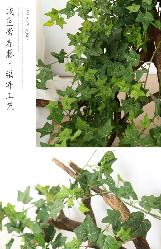 Mô phỏng cây xanh mây ivy trần trang trí hoa cây nho tường ống cây nho điều hòa không khí ống nho - Hoa nhân tạo / Cây / Trái cây cây hoa anh đào giả