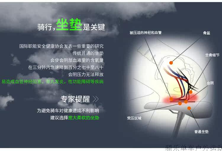 Selle de vélo Mountain Bike GIANT - Ref 2349316 Image 7