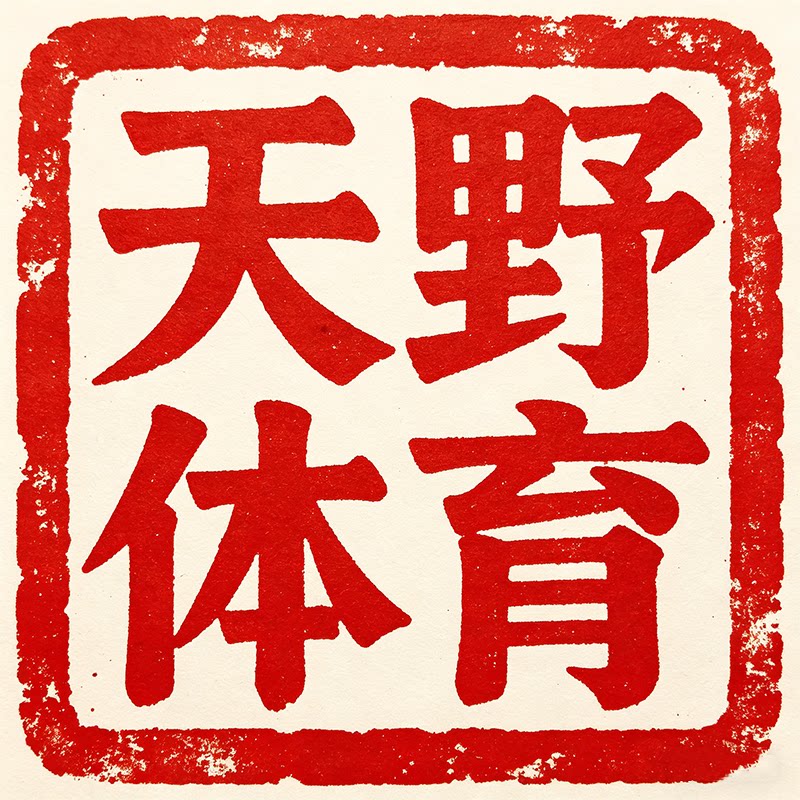 天野体育一正品代购的LOGO