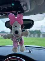 Розовые шерстяные брюки щенка, висящая с ароматерапевтическими фильмами