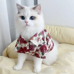 Cat Clothes for Summer, Anti-Shedding, Korean Style Holiday Shirt, Orange Cat, Ragdoll, Golden Tabby, Pet Dog Air-Conditioning Clothing