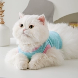 Кошачья одежда лето тонкая жилетка куколка кот голубой кот британский короткий молочный котский щенок щенка для домашних животных щенков