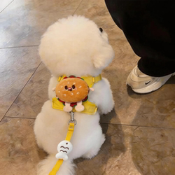 Dog Leash Anti-Escape Vest-Style Harness for Kittens, Small and Medium-Sized Dogs, Teddy, Bichon, Pomeranian, Outdoor Dog Walking Leash