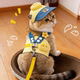 Cat Spring and Summer Harness Traction Rope Cute Sun Hat Set Pet Dog Clothes Autumn Outing Supplies