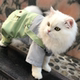 Pet cat clothes four-legged striped overalls thin blue cat ragdoll small cat spring and summer anti-shedding