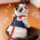 Cat leash can pull clothes, denim cartoon skirt, harness, bra, pet dog princess skirt, thin section
