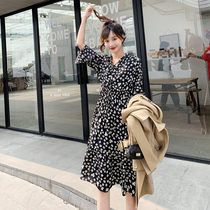 Age flower dress waist thin cover meat 2021 Spring New temperament long sleeve chiffon Platycodon grandiflorum skirt spring and autumn