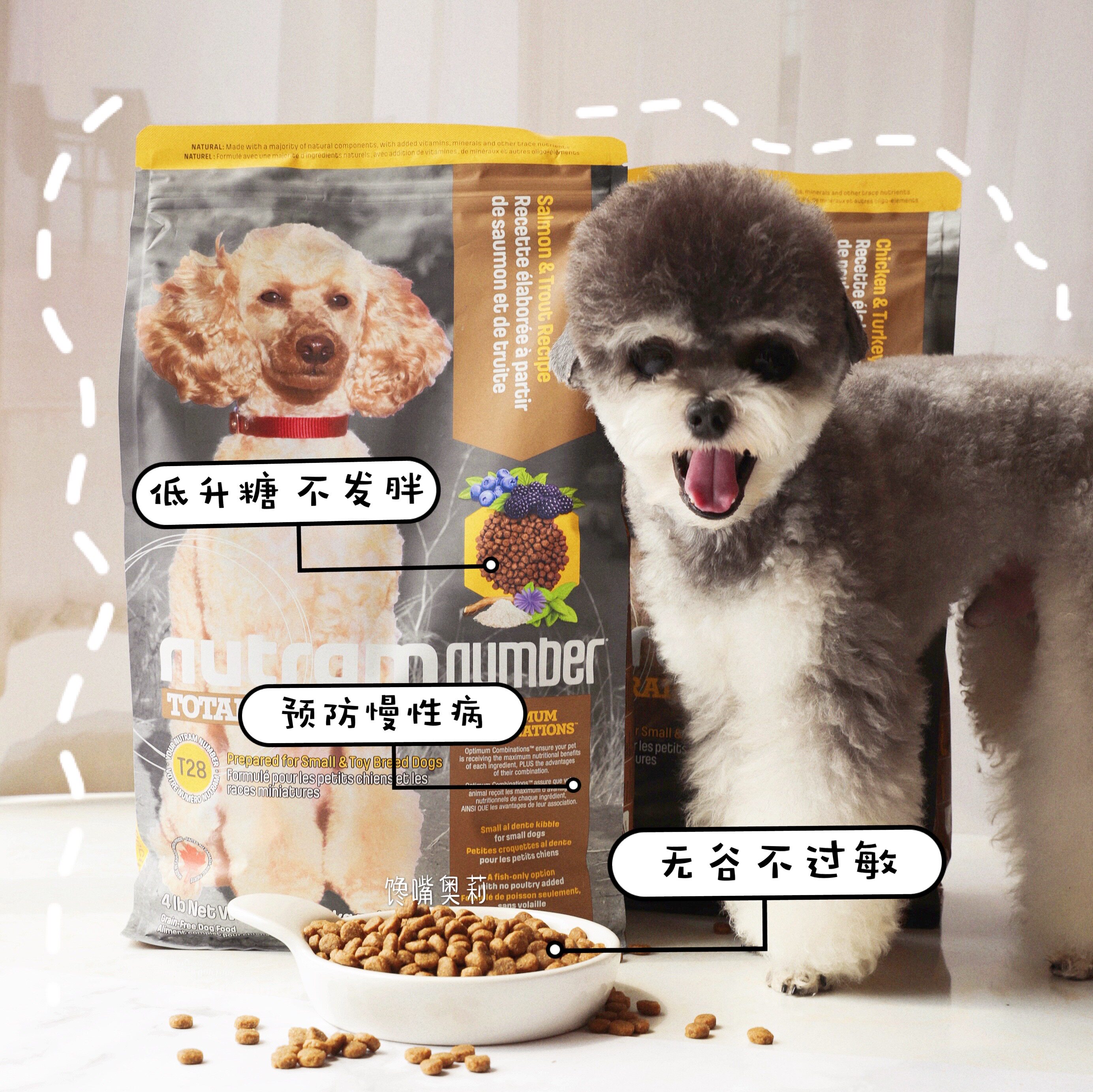 Canada Newton dog food adult dog puppies grain-free whole dog period T27 turkey flavor T28 imported dog food small dog