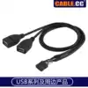 U2-329 desktop computer motherboard 9Pin to dual-port USB 2 0 two-port extension cable Two-port extension cable 50cm