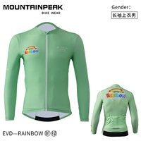 Радужный лонгслив