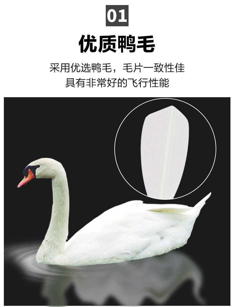 Cầu lông chính hãng VICTOR Victory 12 Pack Gold Số 5 Duckweed Victory Fighting Stable Professional Professional vợt cầu lông giá rẻ cho học sinh