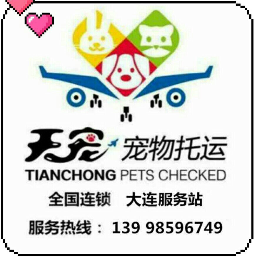 Dalian Pet Pet Checked Air Train Accompanied by Beijing Shanghai Guangzhou Shenzhen Chongqing Dandong Whole Country