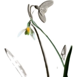 Трехмерный цифровой набор материалов, раскраска, акрил, «сделай сам», семейный стиль