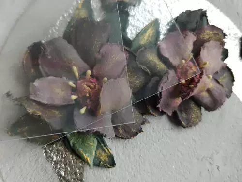 Раскрытие тиснемой живописи выделенной доски для царапины