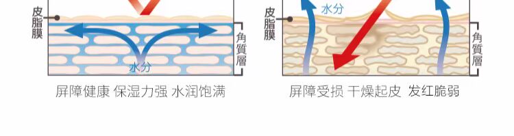 啦 美 妆 haa ceramide tinh chất dưỡng ẩm sửa chữa cơ bắp nhạy cảm để mặt nạ ngủ trẻ hóa máu đỏ - Huyết thanh mặt serum da khô