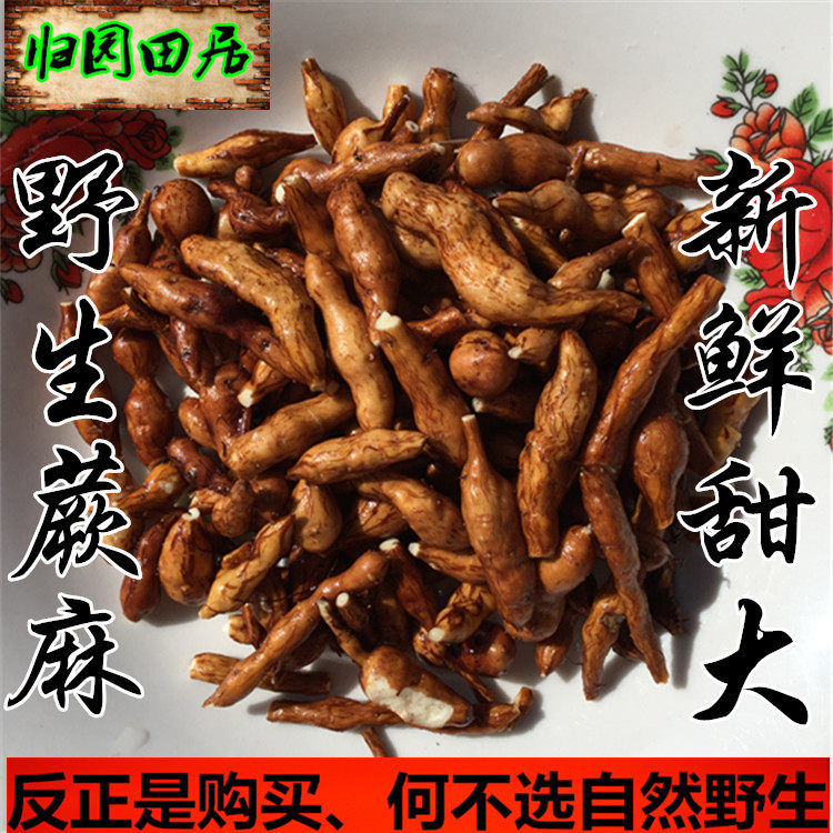 Gansu pure natural wild fern hemp small ginseng fruit new goods big sweet place 2800 meters above sea level