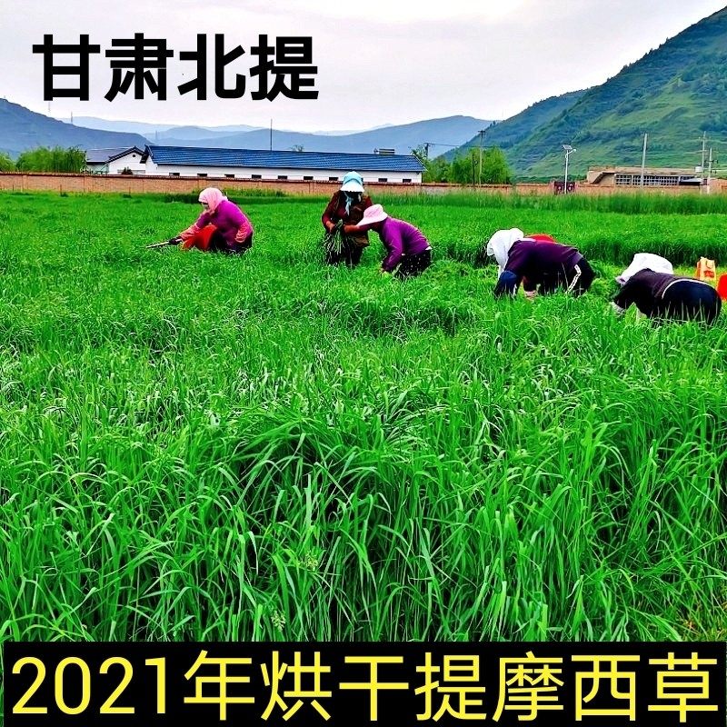 21 years dry north Timothy grass 500g rabbit rabbit hay totoro Dutch pig food grass feed Mosheti grass